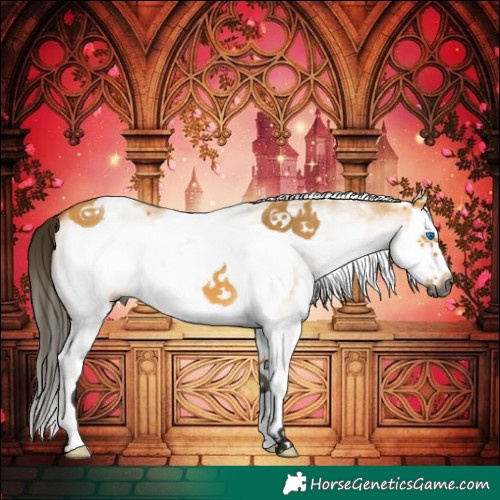 Horse Color:Gray White Spotted Buckskin Dun Splash Frame 