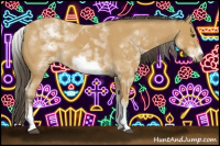 Horse Color:White Spotted Buckskin Roan Frame 