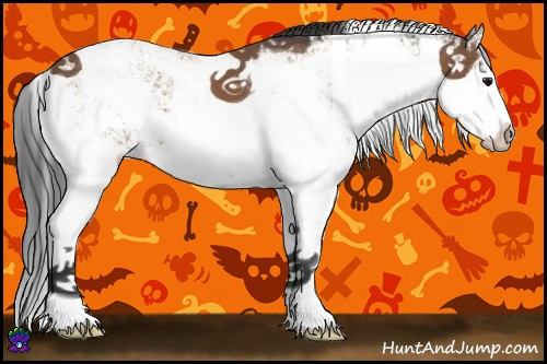 Horse Color:Bay Sabino 