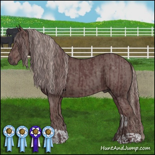 Horse Color:Chocolate Black  and Chocolate Silver Black 