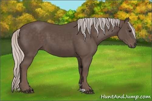 Horse Color:Silver Black 