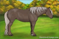 Horse Color:Silver Black 