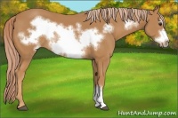 Horse Color:Chestnut Frame