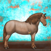 Horse Color:Red Roan 