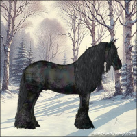 Horse Color:Midnight Black Ice 