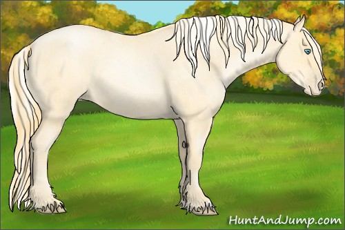 Horse Color:Buckskin Roan Pearl  and Silver Buckskin Roan Pearl 