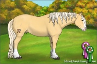 Horse Color:Palomino Splash 