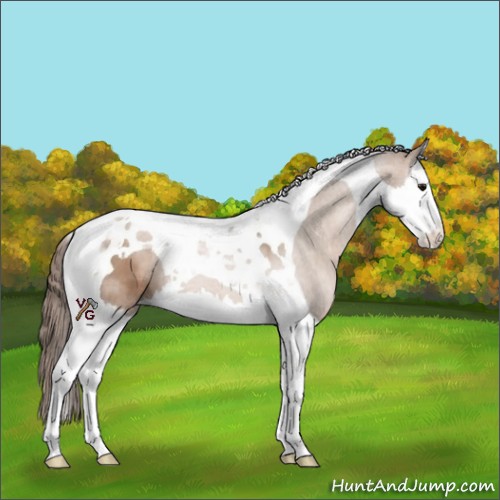 Horse Color:Black Pearl Splash Tobiano 