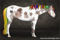 Horse Color:Painted Liver Chestnut Splash Tobiano 