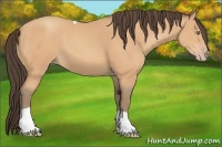 Horse Color:Amber Champagne Tobiano