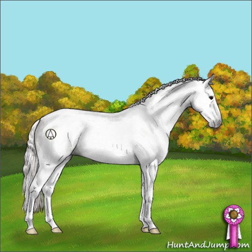Horse Color:Gray Silver Grullo Splash Tobiano