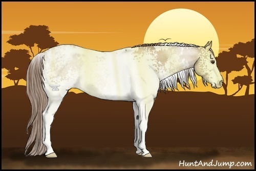Horse Color:White Spotted Grullo Pearl Rabicano