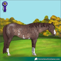 Horse Color:Platinum Chocolate Brown 