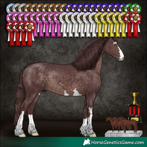 Horse Color:Platinum Chocolate Brown 