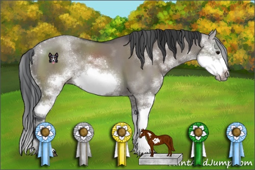 Horse Color:Grullo Sabino Splash Frame Rabicano 