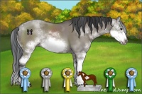 Horse Color:Grullo Sabino Splash Frame Rabicano 