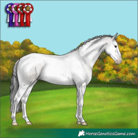 Horse Color:Grullo Sabino Splash Tobiano 