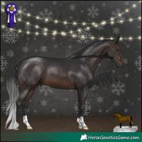 Horse Color:Brown 
