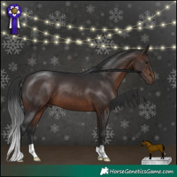 Horse Color:Brown 