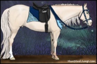 Horse Color:Silver Amber Cream Champagne Pearl 