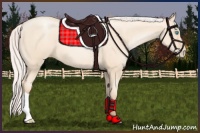 Horse Color:Silver Amber Cream Champagne Pearl 