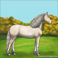 Horse Color:White Spotted Palomino Pearl 