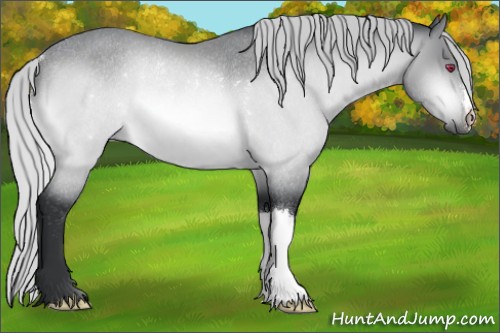Horse Color:Silver Brown Chinchilla Rabicano 
