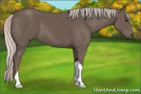 Horse Color:Silver Black 