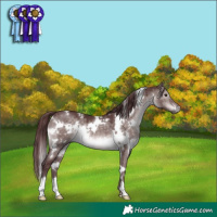 Horse Color:Platinum White Spotted Chocolate Brown Dun 