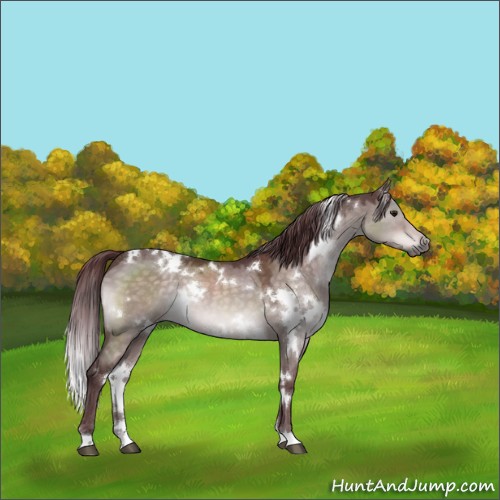 Horse Color:Platinum White Spotted Chocolate Brown Dun