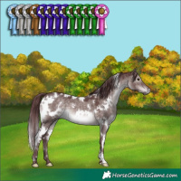 Horse Color:Platinum White Spotted Chocolate Brown Dun 