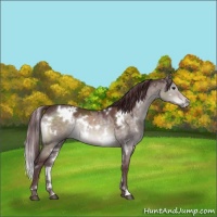 Horse Color:Platinum White Spotted Chocolate Brown Dun 