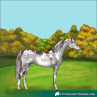 Horse Color:Platinum White Spotted Chocolate Brown Dun 