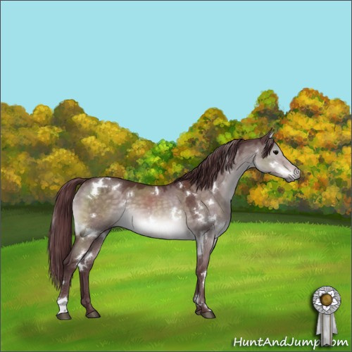 Horse Color:Platinum White Spotted Chocolate Brown Dun 