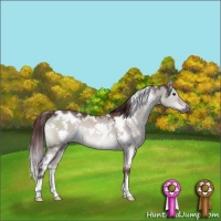 Horse Color:Platinum White Spotted Chocolate Brown Dun 