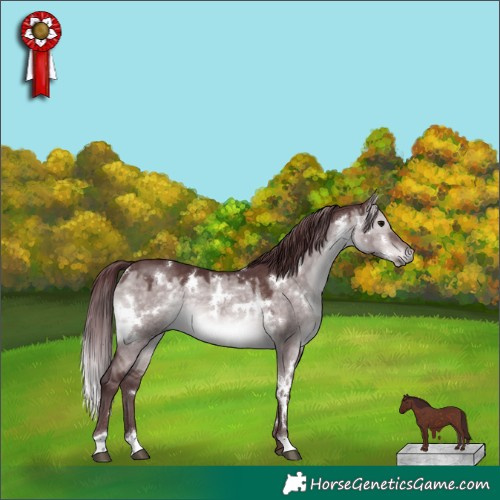 Horse Color:Platinum White Spotted Chocolate Brown Dun 