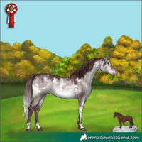Horse Color:Platinum White Spotted Chocolate Brown Dun 