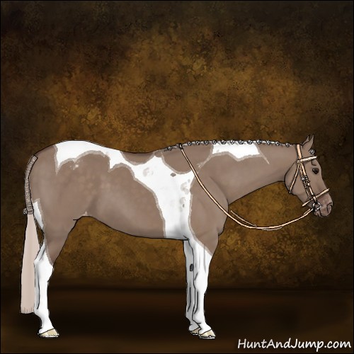 Horse Color:Silver Grullo Tobiano Varnish