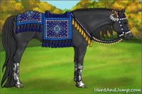 Horse Color:Black  and Black 