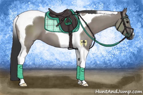 Horse Color:Grullo Tobiano 