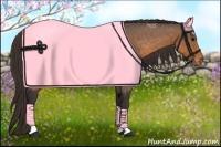 Horse Color:Buckskin Appaloosa