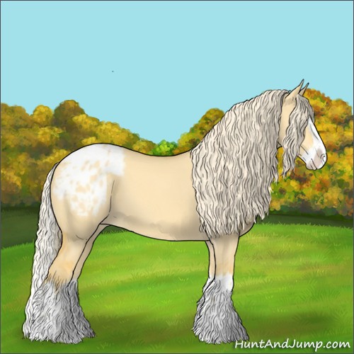 Horse Color:Palomino Dun Sabino Splash Blanket