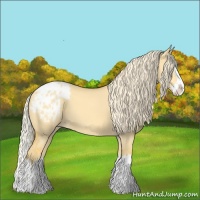 Horse Color:Palomino Dun Sabino Splash Blanket 