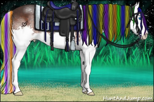 Horse Color:Painted Brown Splash 