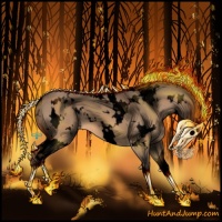 Horse Color:Void White Spotted Bay Dun 