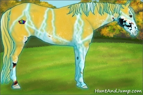 Horse Color:Thunderstruck Watercolor Liver Chestnut Sabino Rabicano 
