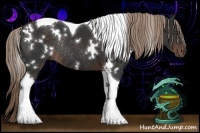 Horse Color:White Spotted Liver Chestnut Tobiano Rabicano