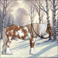 Horse Color:White Spotted Chestnut 