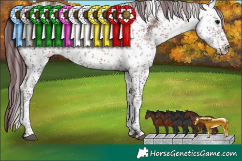 Horse Color:White Spotted Chocolate Brown Sabino 