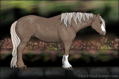 Horse Color:Silver Black 